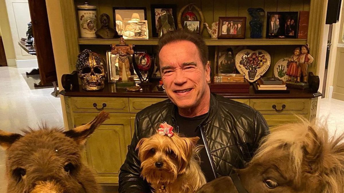Kecelakaan Mobil, Ini Kondisi Terbaru Arnold Schwarzenegger