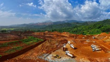 生产和销售超过目标，淡水河谷收入为9.02亿美元