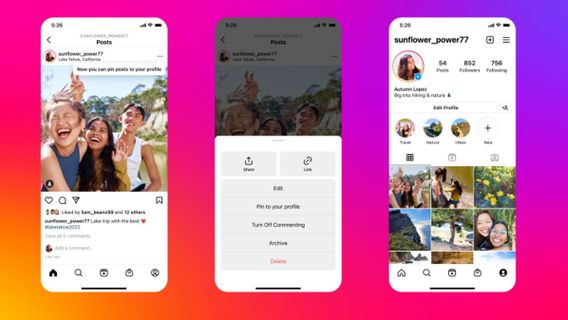 Samai TikTok dan Twitter, Instagram Luncurkan Fitur Sematkan Postingan di Profil 