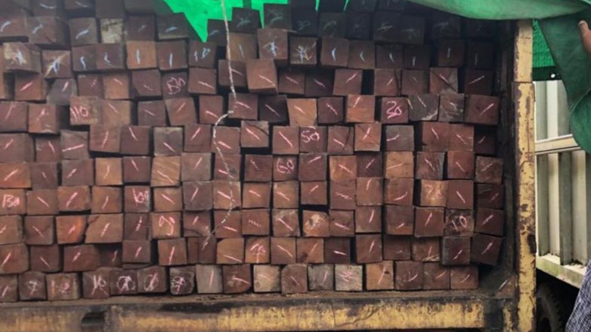Kemenhut Tangkap Pelaku Pengangkut Ratusan Kayu Ulin Ilegal di Kaltim
