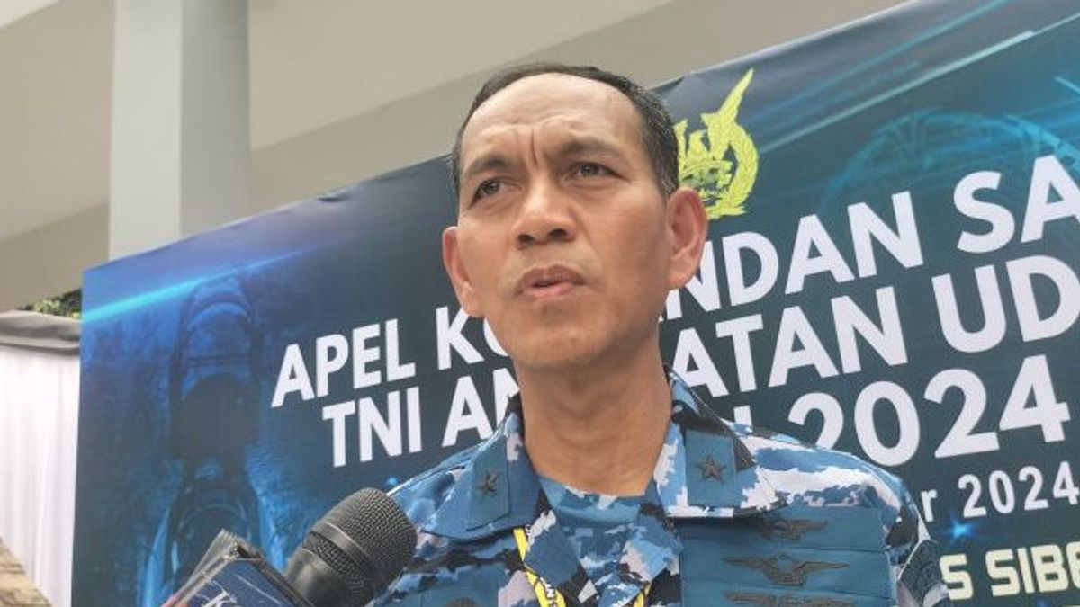 TNI AU Sudah Buat Program untuk Satuan Ruang Angkasa, Bakal Berlanjut 2025  