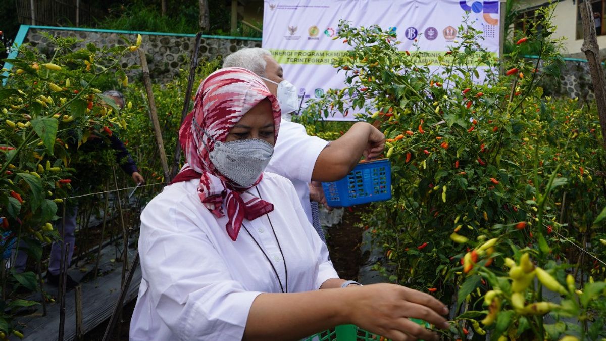 Airlangga的人们说闭环农业综合企业伙伴关系改善了农民的福利