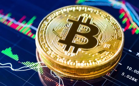 CEO CryptoQuant Sebut Bitcoin Tidak Sedang Bubble, Begini Menurutnya!