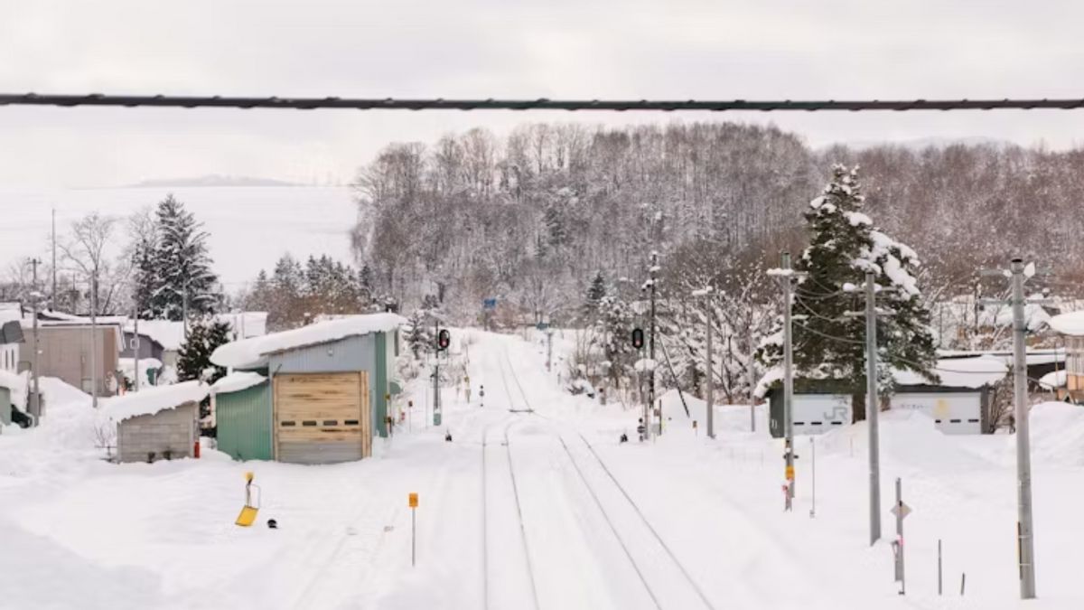 日本での極端な雪の降雨、30人が死亡