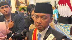 Era Prabowo, Jumlah Penerima Tanda Kehormatan Bertambah 2 Kali Lipat