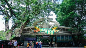 万隆动物园的命运仍在等待部长的裁决