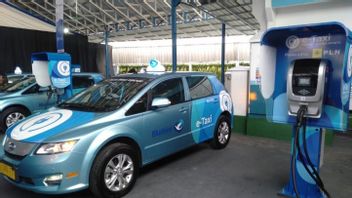 Expand Electric Vehicles, Blue Bird Add 500 Units This Year