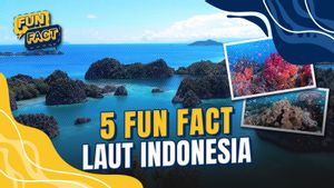 Surga Terumbu Karang Indonesia: Hadiah Alam Negeri Ini