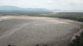 西加里曼丹的森塔鲁姆湖干燥,清洁用水困难的居民