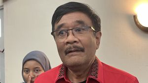 PDIP Tak Berencana Panggil Jokowi Gara-gara Isu Kaesang Gabung PSI
