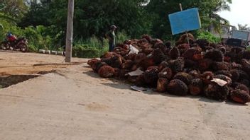 Disappointed That There Is No Justice, Kumpeh Ulu Muaro Jambi Residents Block The Road With Palm Oil