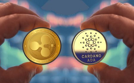 Pendiri Cardano Dukung Pengacara XRP yang Maju Jadi Calon Senat