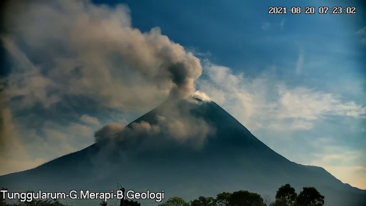 La Semaine Dernière, Le Mont Merapi A Vomi 20 Fois La Chute Des Nuages Chauds