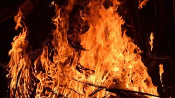    Paduppa Resort Bira Terbakar