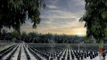 PTPN IV PalmCo通过棕榈废物加工支持妇女经济独立