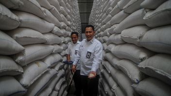 Bulog Boss Budi Waseso: We Have Not Imported Rice Since 2018, If There Is It, It Is Private