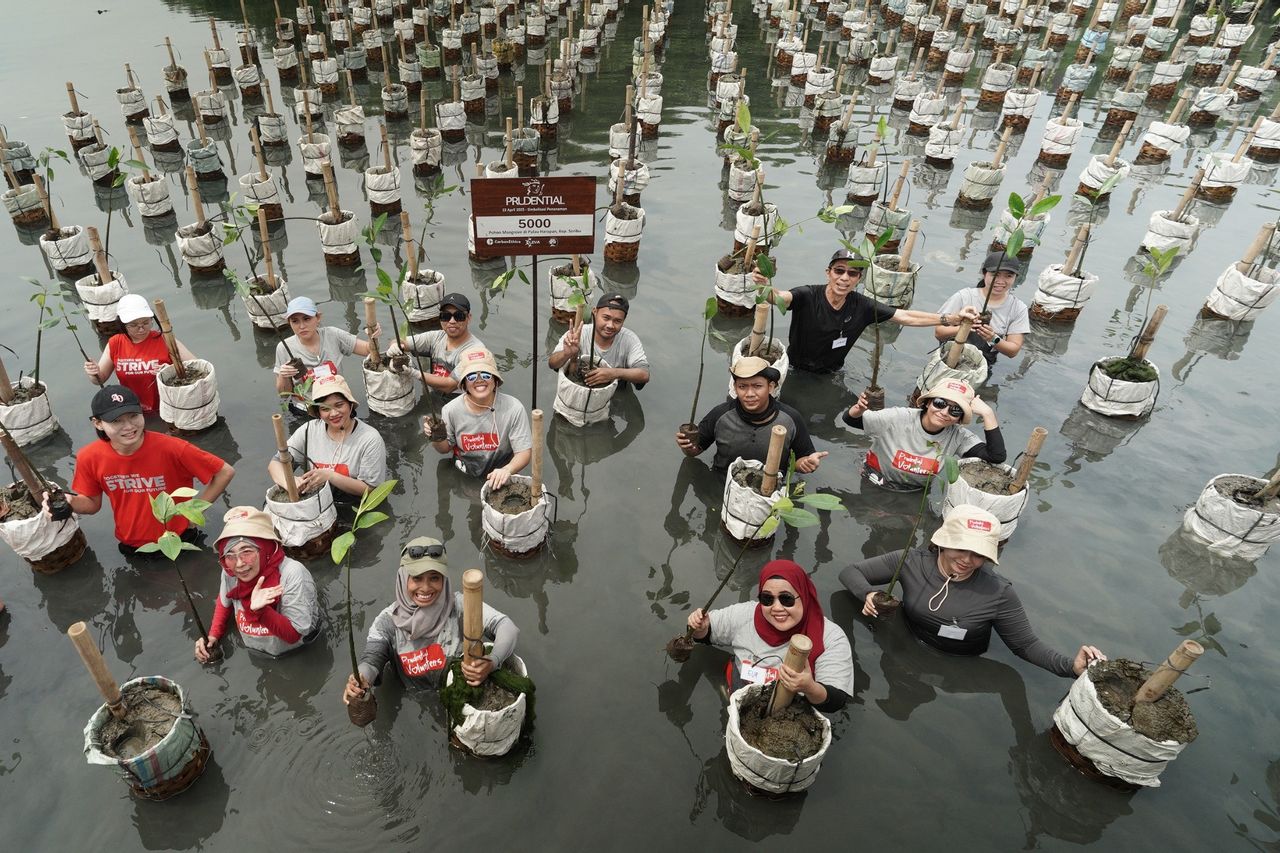 Commemorating Earth Day, Prudential Indonesia Plants 5,000 Mangroves On The Hope Island Of The Thousand Islands