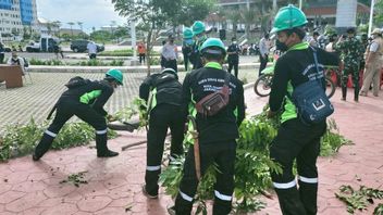 Angin Kencang Semalam di Jakarta Barat, Sudin PKP Turunkan 230 Personil Atasi Pohon Tumbang