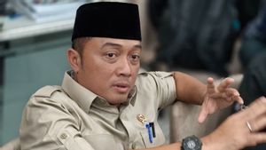 Presiden Prabowo Tunjuk Wamen Dony Oskaria jadi Plt Menteri BUMN