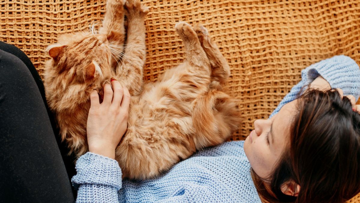 Alasan Mengapa Kucing Suka Tidur di Kaki Pemiliknya, Tidak Sekedar Manja-manjaan
