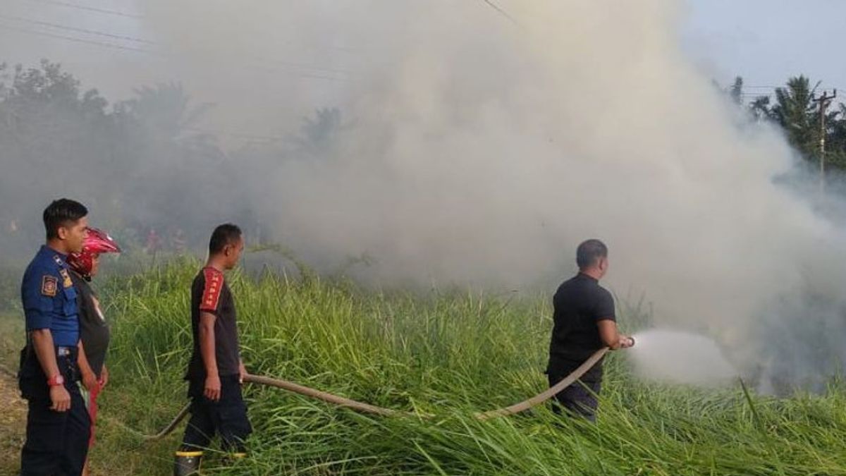 Corn Land Fire Almost Lahap Residents' Houses In Agam West Sumatra