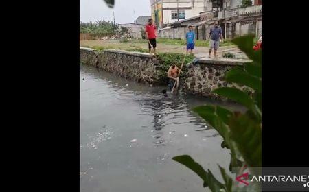 Panik Dikejar Warga, Maling Kotak Amal Ceburkan Diri ke Kali Apuran Cengkareng