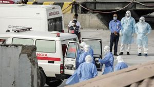 Argentina Faces Hantavirus Spike amid Conflict with WHO