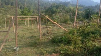 保护牲畜免受老虎攻击,BKSDA在Binjai Sumbar建造公共坎当