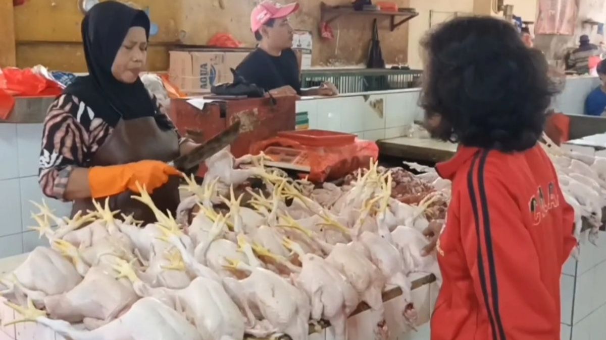 Harga Ayam Potong di Pasar Tradisional Ciracas ‘Ugal-ugalan’