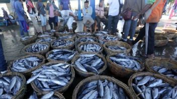 Beri Bantuan 1,6 Ton Ikan ke Korban Gempa Sumedang, KKP: Untuk Memenuhi Kebutuhan