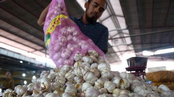 Badanas: ID FOOD Assigned To Import 20 Thousand Tons Of Garlic For Government Food Reserves
