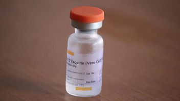 Vaksin COVID-19 Sinovac Dapat Persetujuan WHO Untuk Penggunaan Darurat