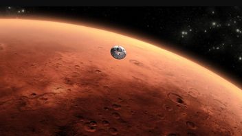 Scientists Believe Earth's Microbes Could Live On Mars