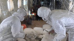 Hari Keempat Modifikasi Cuaca, Pemprov DKI Fokus Semai Awan di Laut dan Wilayah Selatan