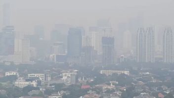 Worst Air Quality Number 2 In The World, Members Of The House Of Representatives Criticize The Government Not Seriously Handling Pollution