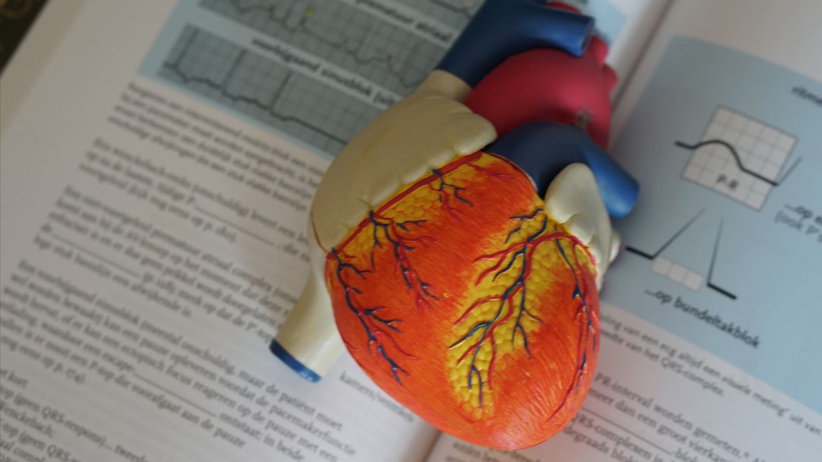 Prevent Heart Attack During Sports, Athlete Physical Examination Must Be Done