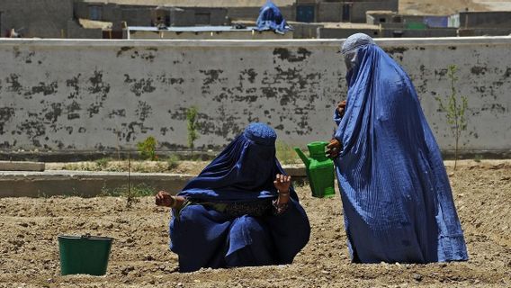  パキスタンはアフガニスタンの女性の権利を保護するように世界を招待します