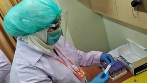 Dinkes Yogyakarta Uji Tikus dari Lokasi Kematian Akibat Leptospirosis