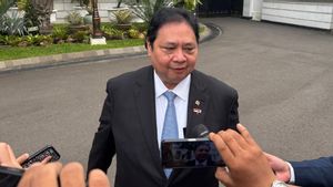 Airlangga Ungkap Kesepakatan BRICS Beri Akses Pasar dan Ketahanan Ekonomi bagi RI