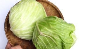 Kubis Diprediksi Jadi Tren Makanan Sehat 2026, Ini Kata Ahli Gizi