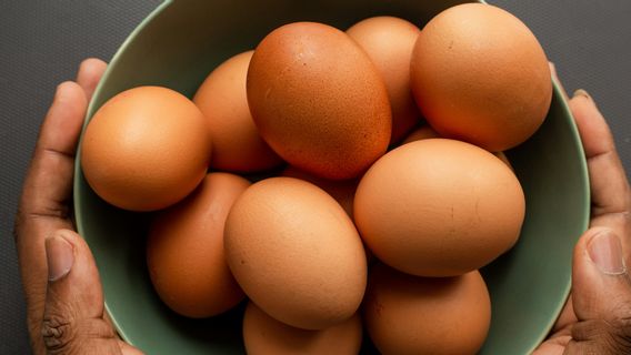 Ciri Telur Ayam yang Normal Adalah, Begini Penjelasan Lengkapnya