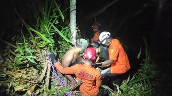 Basarnas Banda Aceh Evakuasi Wisatawan Asal Medan Terpeleset ke Jurang 20 Meter