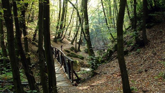 Releasing Lockdown Tires On Favorite Hiking Trails In Europe