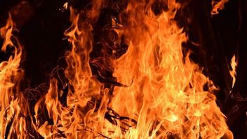 布利塔尔的孩子因为被责骂烧垃圾而烧毁父母的房子显然精神错乱