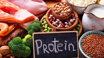 5 Manfaat Protein yang Efektif Menurunkan Berat Badan