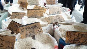 Perpadi: Rencana Harga Batas Atas Beras dan Klasifikasi Mutu Bisa Kurangi Persaingan Tidak Sehat