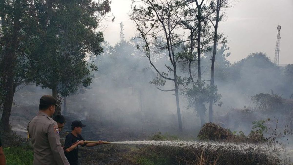 南苏门答腊岛东巴图拉加的一半公顷的土地被烧毁,据称是由于烟头