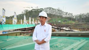 Presiden Jokowi Tinjau Pembangunan Sumbu Kebangsaan IKN