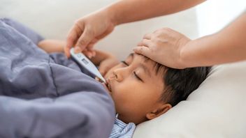 Cara Mengenali Demam Dengue Sejak Dini, Jangan Anggap Sepele Gejala Awal
