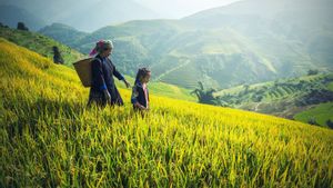 Bantul Gandeng BMKG Bina Kelompok Tani Pahami Iklim Untuk Pertanian